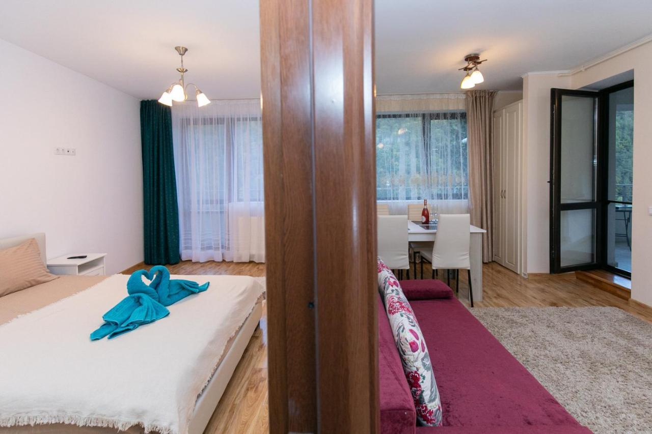Apartament Rodia Apartment ซินายา ภายนอก รูปภาพ